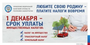 Баннер (2)